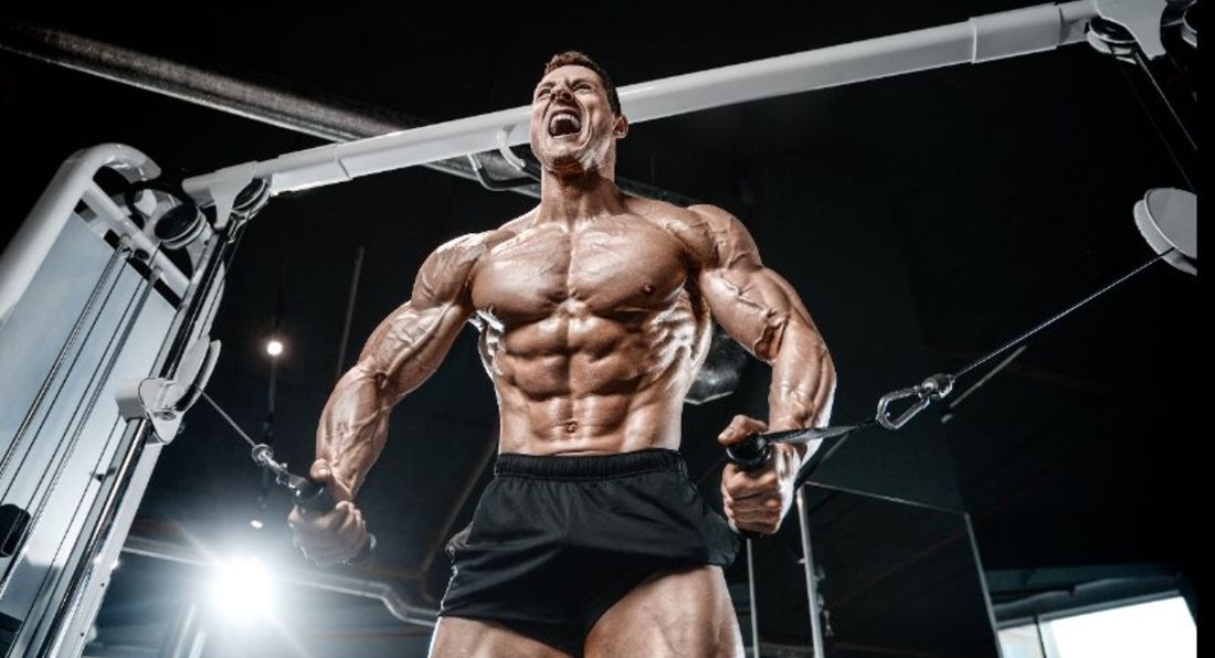 Relationship Between Muscle Size And Strength LA Muscle USA