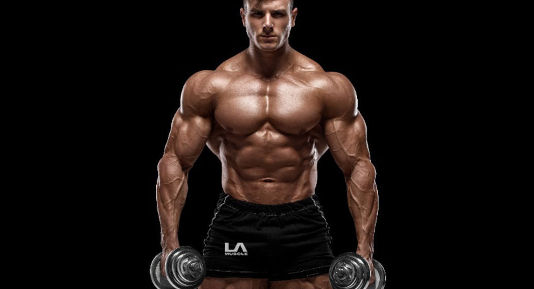 Supplements You Need To Build Muscle Consistently LA Muscle USA