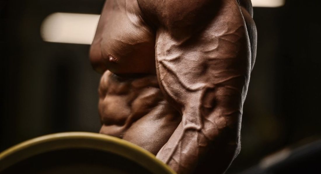 A Simple Guide For Beginner Arm Day Workout