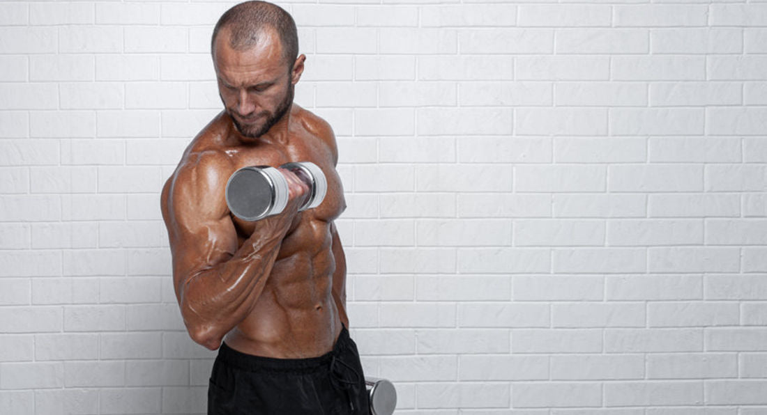 The Basics Of Muscular Hypertrophy, Strength Training And Protein