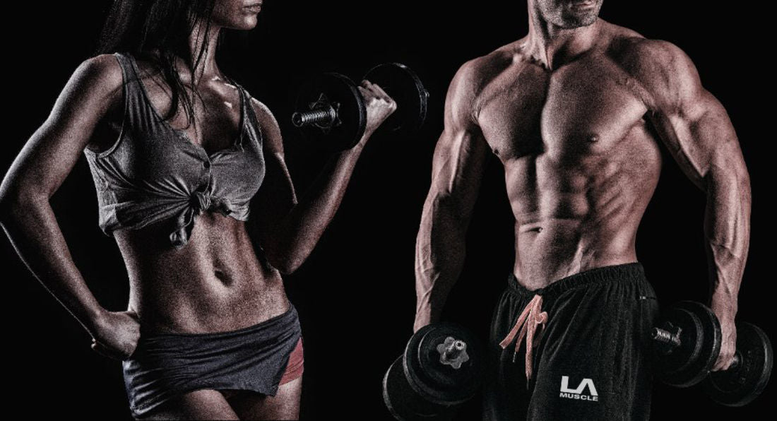The Science Of Body Recomposition