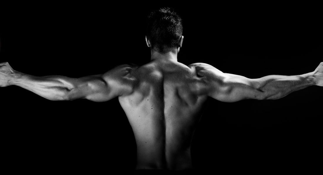 4 Move Back Workout