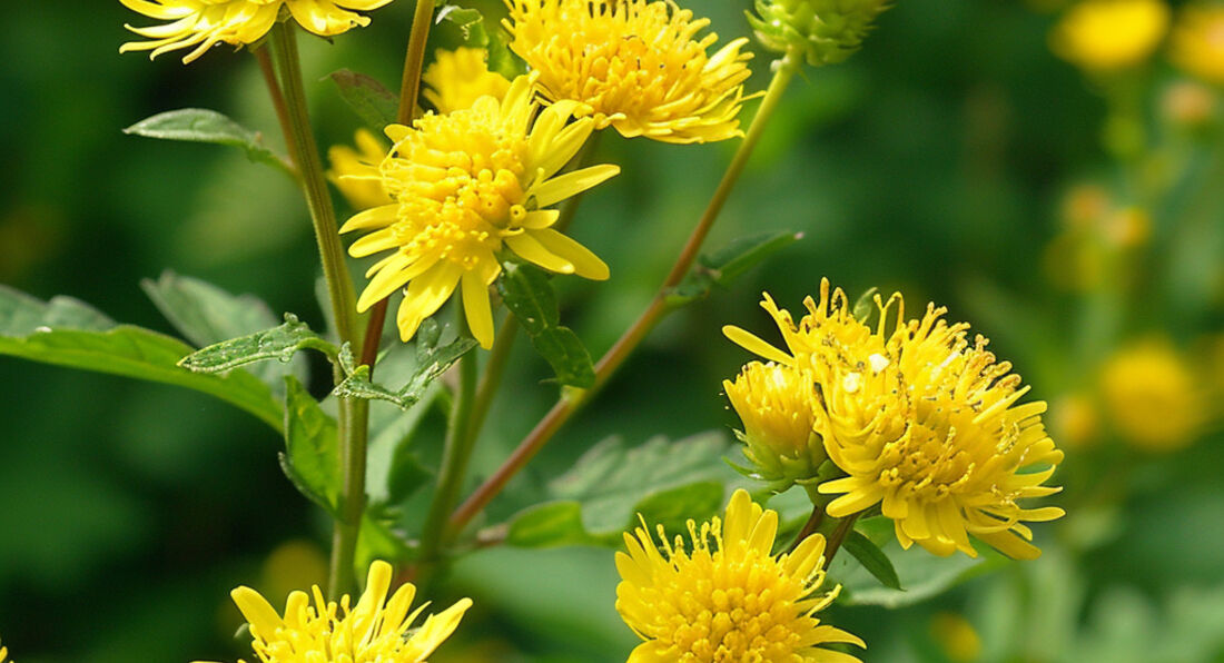 The Healing Brews: 10 Herbal Teas and Their Benefits