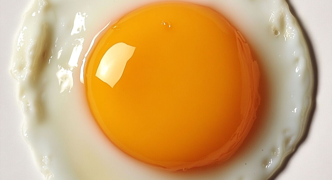 Why Some People Question the "High Cholesterol Is Bad for You" Narrative