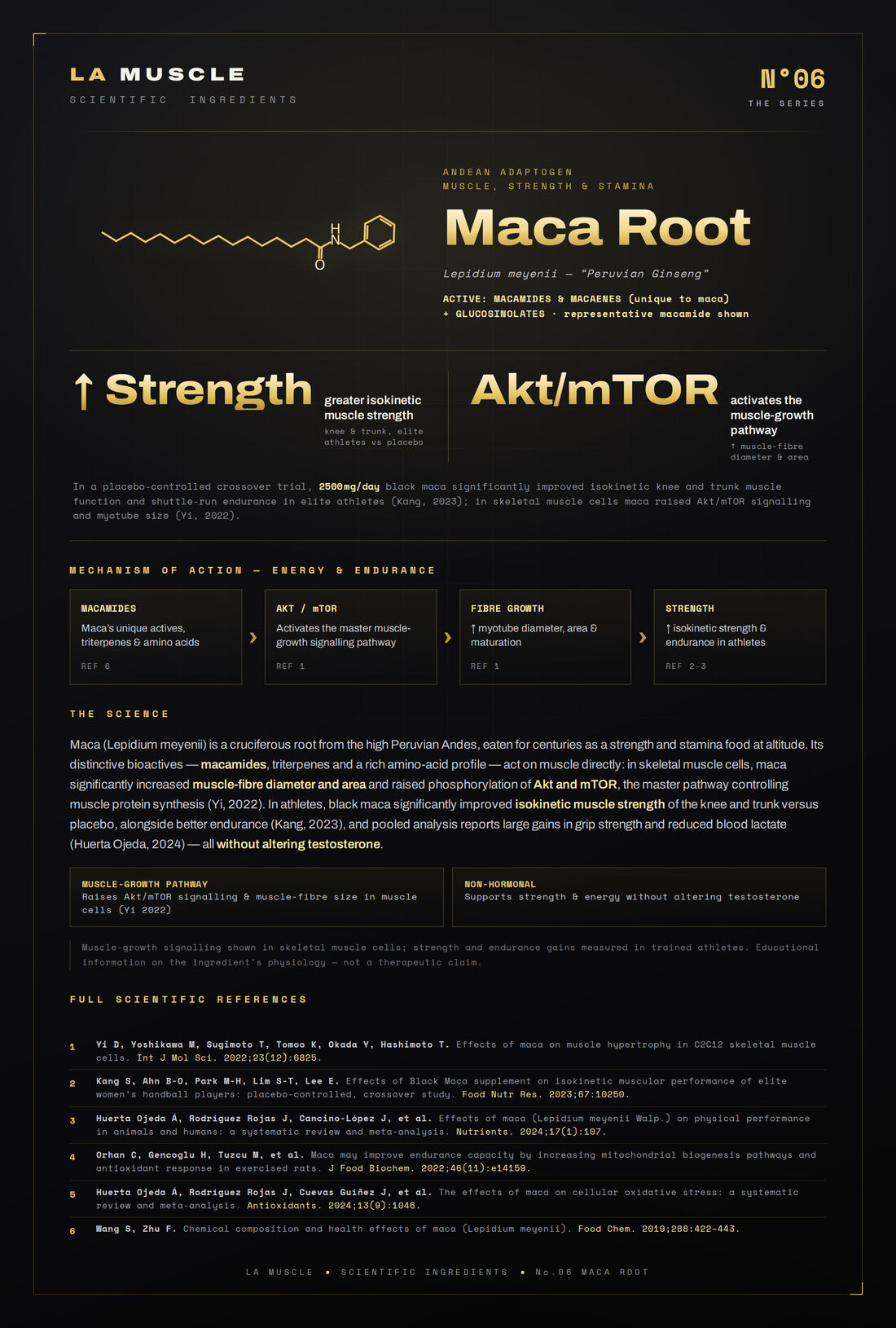 Maca Root