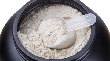 5 Protein Myths That You Need to Stop Believing