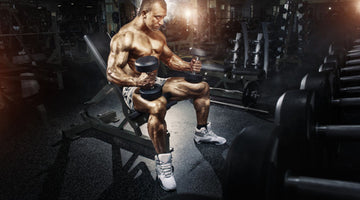 Best Supplements For Muscle Growth 2022