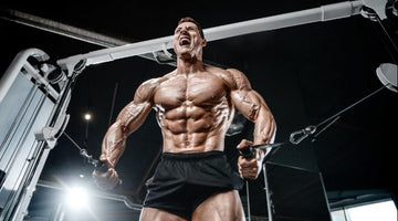 Relationship Between Muscle Size And Strength