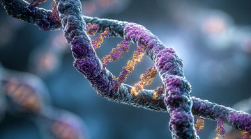 Beating Your DNA: Why You’re More Than Your Genes