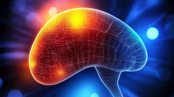 10 Ways to Keep Your Liver Strong and Naturally Detoxed