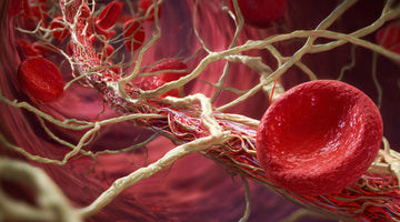 5 Natural Methods to Cleanse Arteries and Lower Plaque