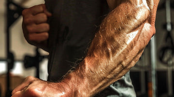 The Importance of Strong Forearms in Building a Muscular Physique