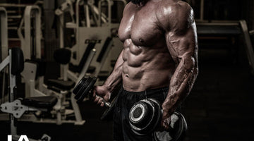 The Basic Guide To Muscle Building