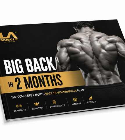 Big Back in 2 Months